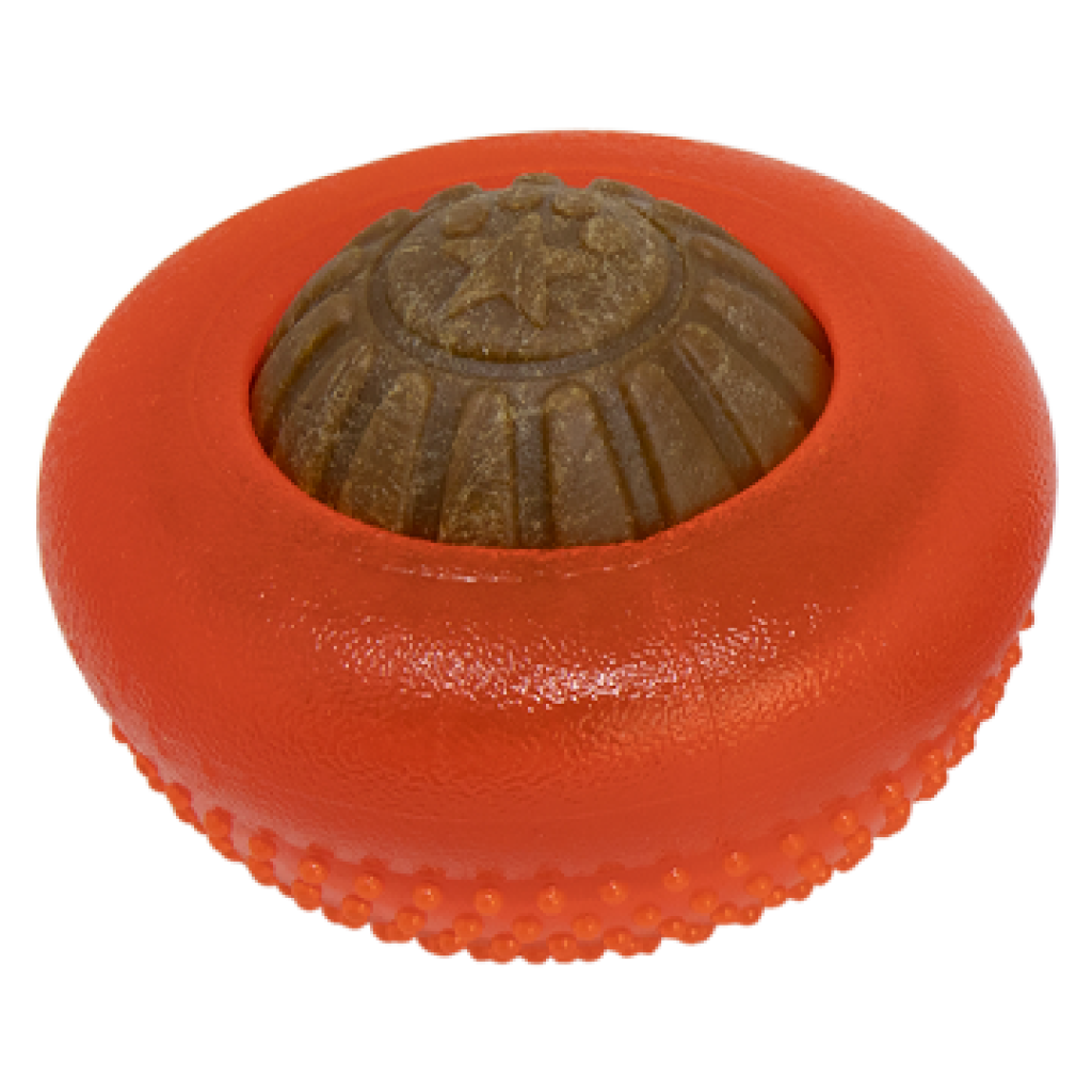 Brinquedo Interativo Everlasting Bento Ball para Cão – Estimulação Mental e Diversão Duradoura