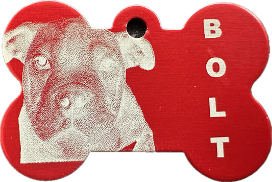 Placa personalizada de Identificação para cão (em formato de Osso)
