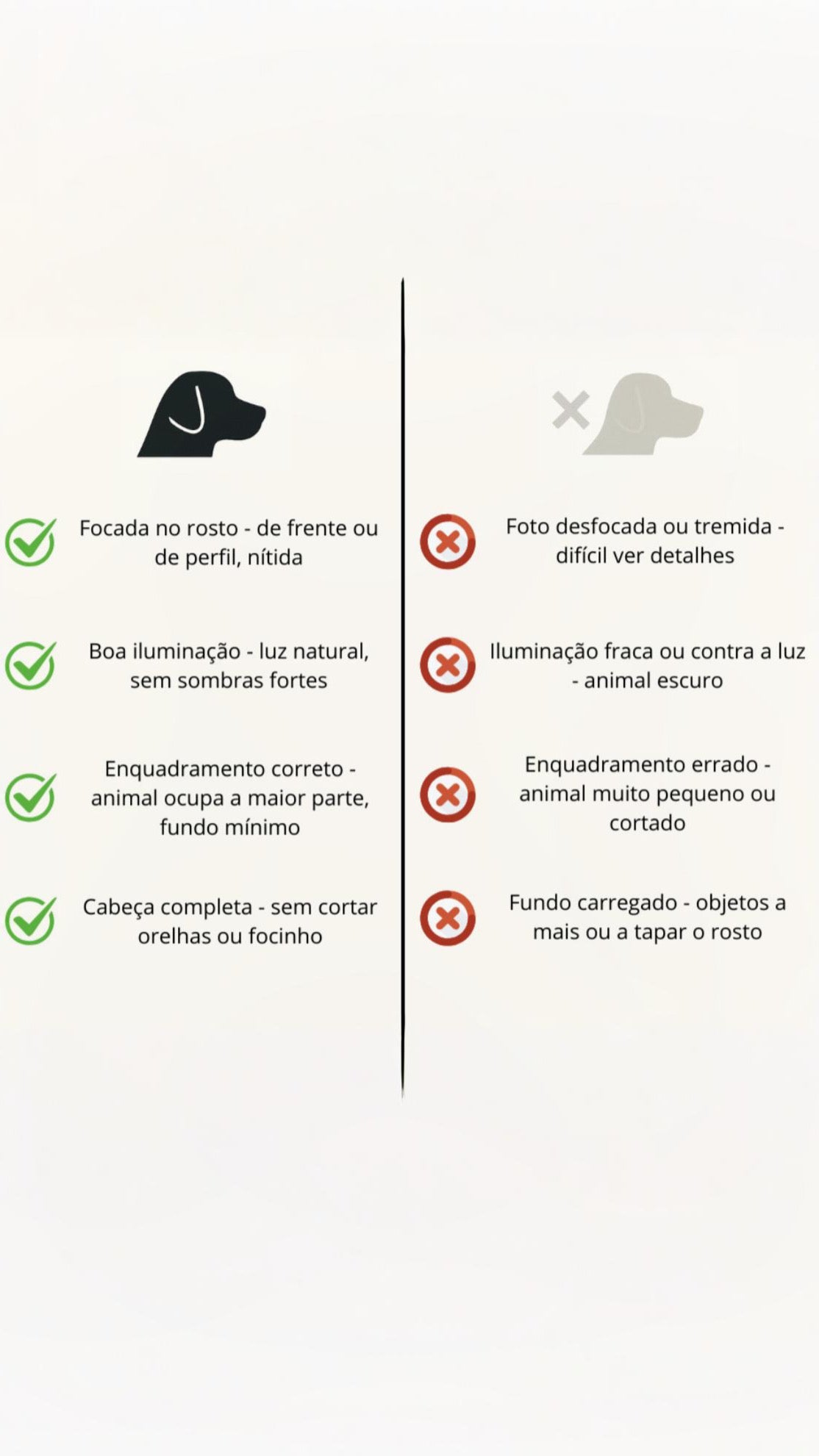 T-shirt personalizada do seu animal