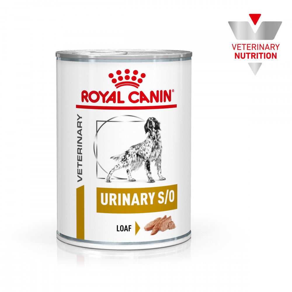 Royal Canin VET Urinary S/O (410gr) - Alimento em patê (mousse) para cão adulto com problemas urinários