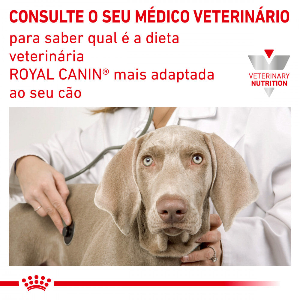Royal Canin VET Urinary S/O (410gr) - Alimento em patê (mousse) para cão adulto com problemas urinários