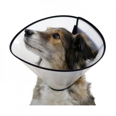 Colar isabelino para cães - L 20cm