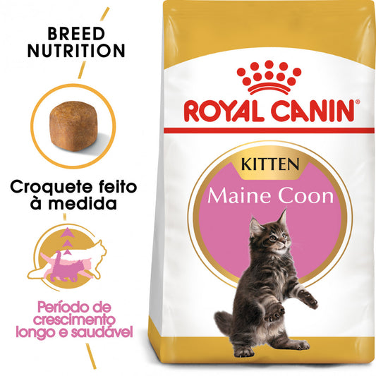Royal Canin Maine Coon Gato Kitten 4Kg