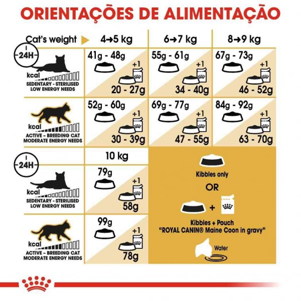Ração Para Gato Royal Canin Maine Coon Adult