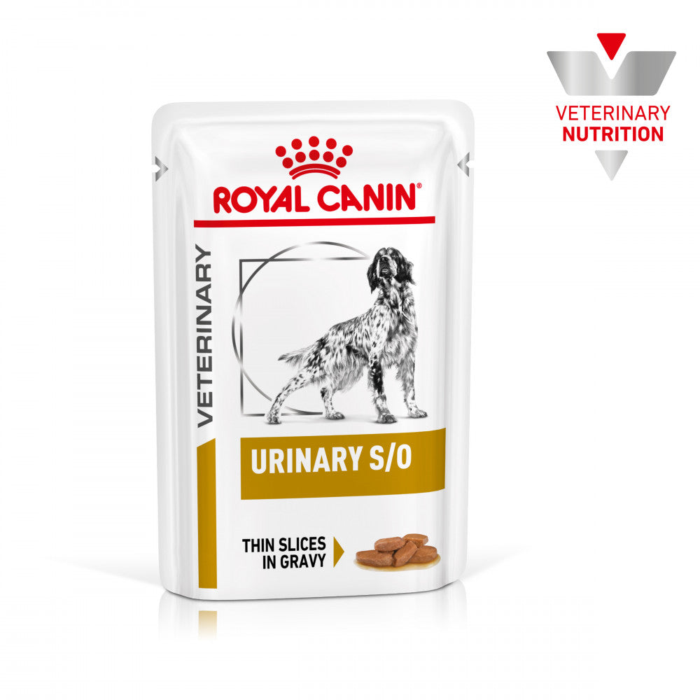 Royal Canin VET Urinary S/O - Alimento em molho para cão adulto com problemas urinários 12x100g