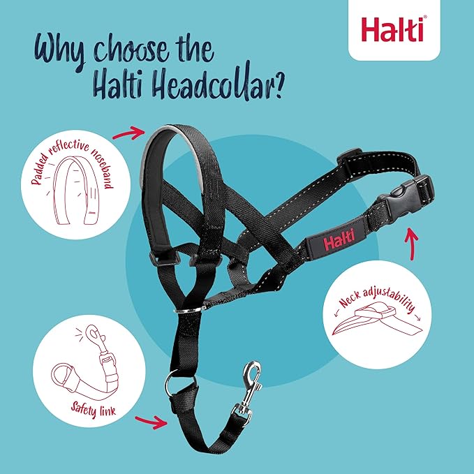 Halti – Colar de Cabeça + Trela de Treino para Cães