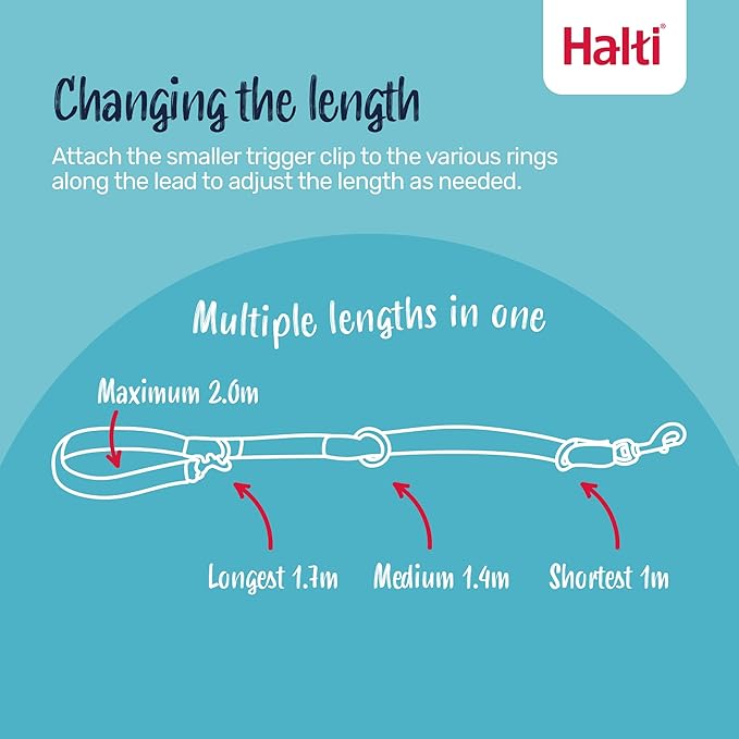 Halti – Colar de Cabeça + Trela de Treino para Cães