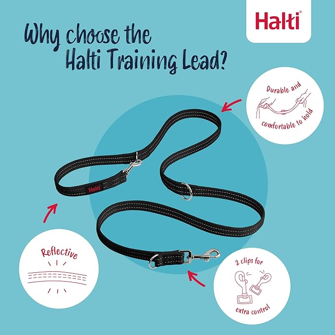 Halti – Colar de Cabeça + Trela de Treino para Cães