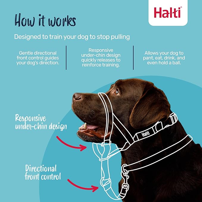 Halti – Colar de Cabeça + Trela de Treino para Cães