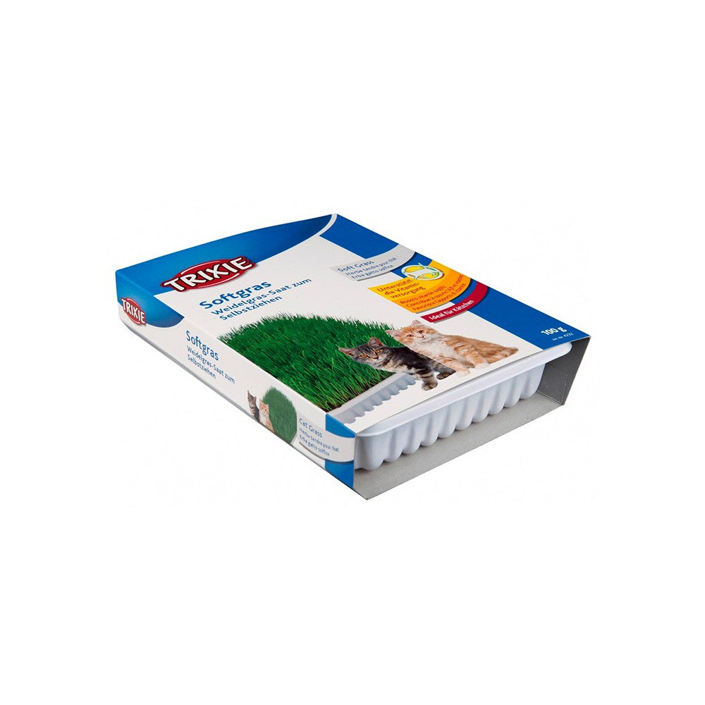 Erva Gateira Tenra com Tabuleiro