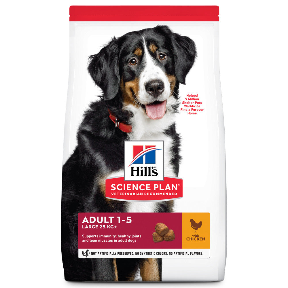 Hill's SP Adult Large - Ração seca para cão de porte grande 6+