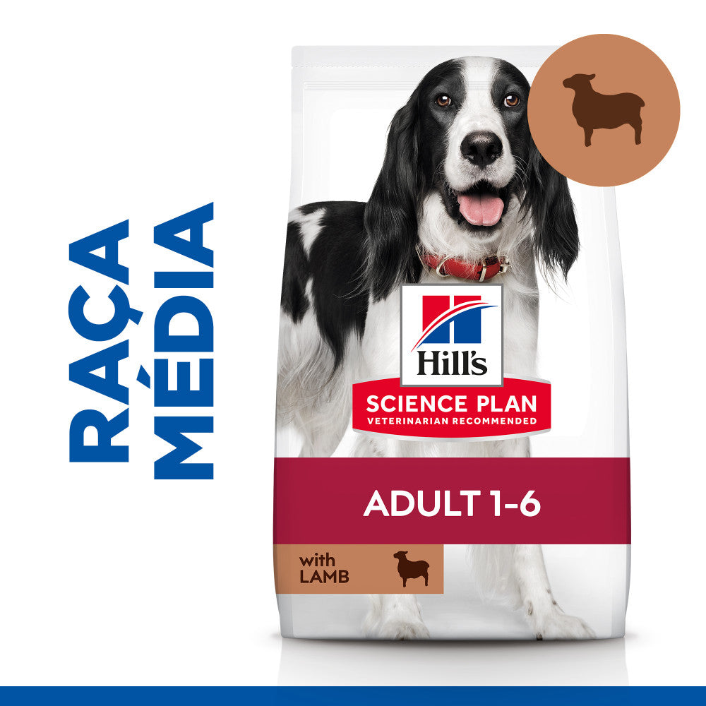 Hill's Adult Medium - Ração seca para cão de porte médio - Borrego e Arroz