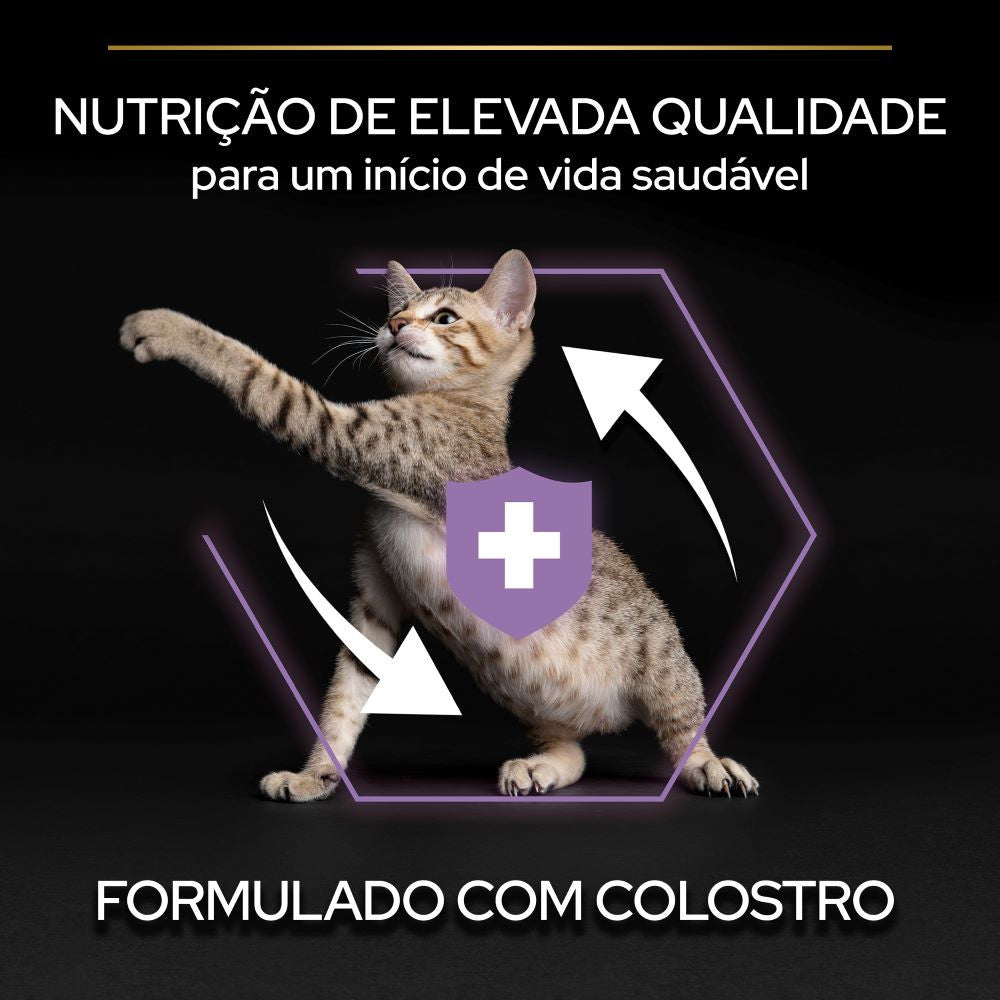 Pro Plan Healthy Start - Ração seca para gatinho Kitten Frango