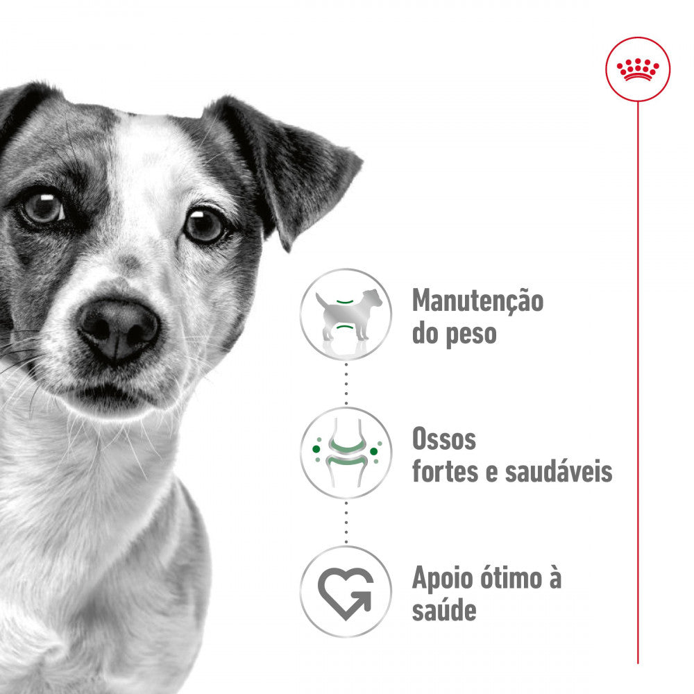 Royal Canin Mini Adult - Ração seca para cão adulto de porte pequeno