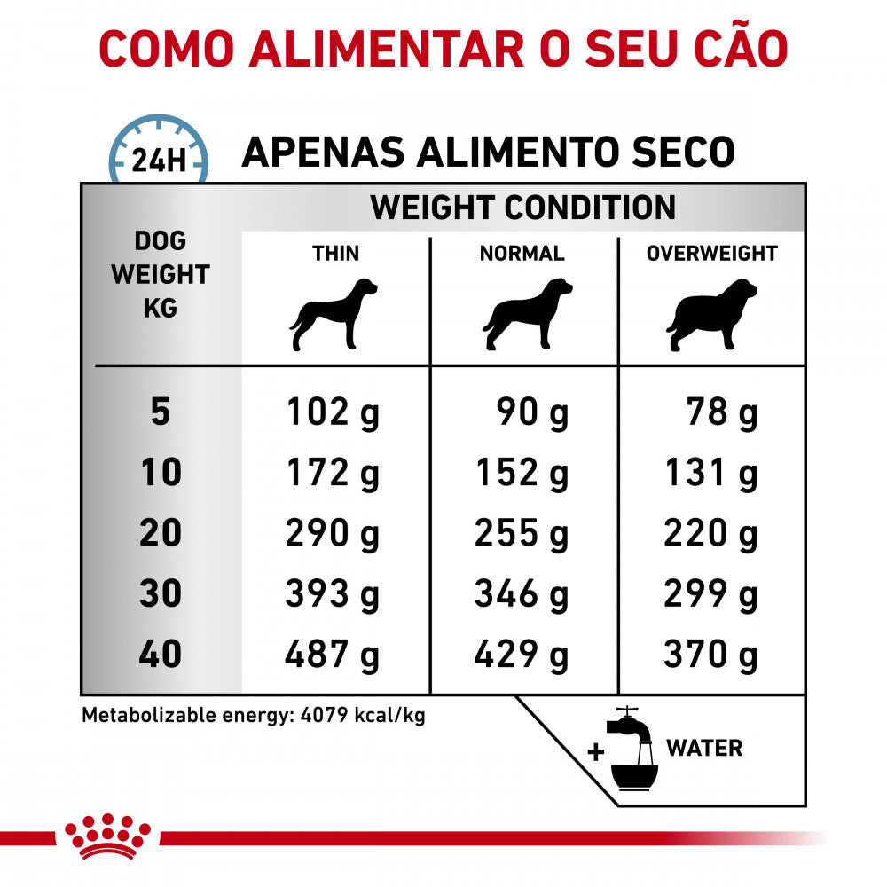 Royal Canin VET Hypoallergenic - Ração seca para cão adulto com alergias alimentares