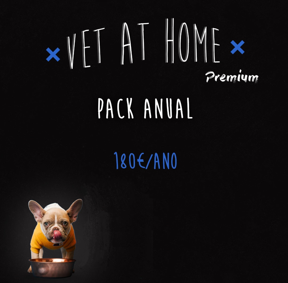 Vet at Home - PREMIUM (Norte de Portugal) - Anuidade