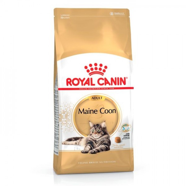 Ração Para Gato Royal Canin Maine Coon