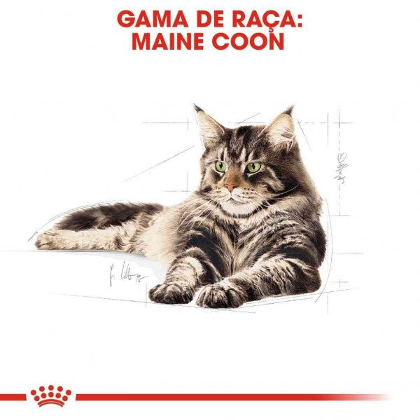 Ração Para Gato Royal Canin Maine Coon